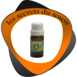 Huile Essentielle D'armoise 10ml